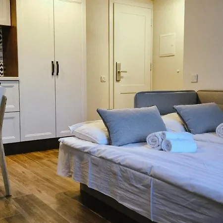 Apartment Prive Near Nemunas Island
